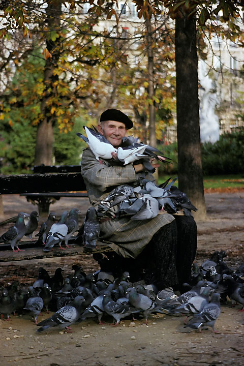 Old man feeding the birds - France/&Icirc;le de France - Paris - December 1989 - Animals