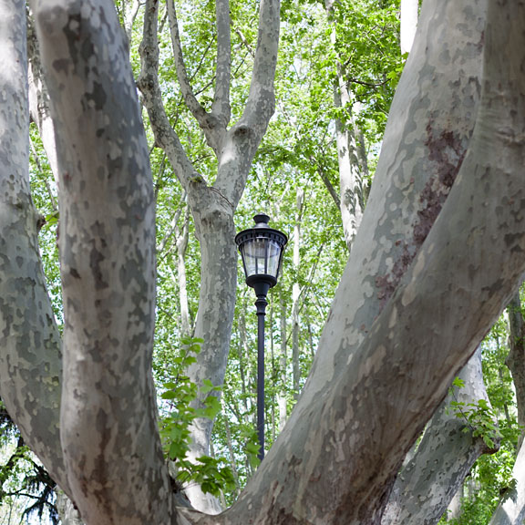 Lampadaire au jardin Gianicolo - Italie/Nord - Rome - avril 2013 - EF 50 mm f/1,4