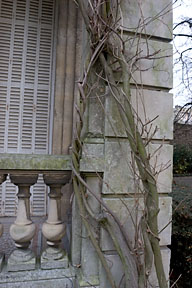 Distorsion des objectifs