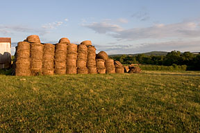 Ne pas distraire le regard