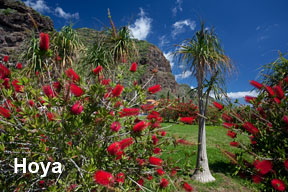 Fitres polarisants Hoya & B+W