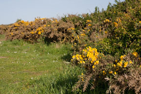3D : profondeur de champ