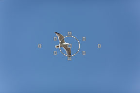 Recadrage volontaire